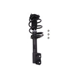 PRT Suspension Strut and Coil Spring Assembly 816955 - view 4