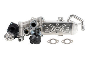 EGR & Related Components
