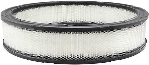 Baldwin Engine Air Filter PA2010
