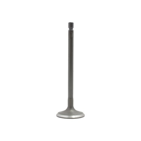 DNJ Engine Intake Valve IV124