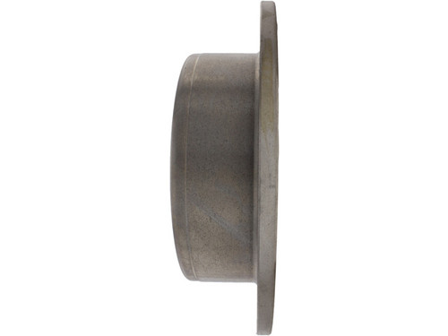 Centric Parts Disc Brake Rotor 121.49003