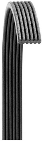 Dayco Serpentine Belt 6060898