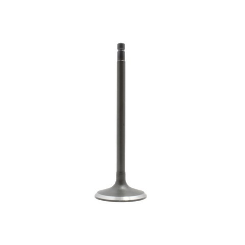 DNJ Engine Intake Valve P/N:IV469