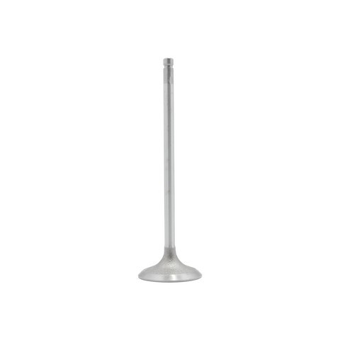 DNJ Engine Intake Valve IV245A