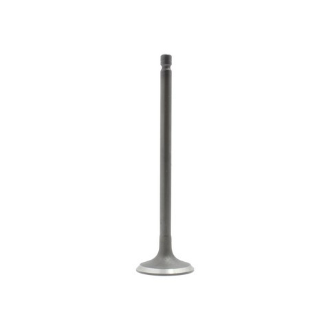 DNJ Engine Intake Valve IV119