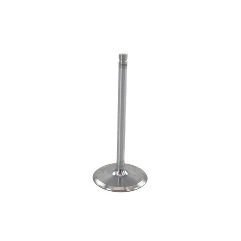 DNJ Engine Intake Valve IV3215A