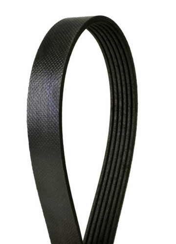 Continental Elite Serpentine Belt P/N:763K6MK