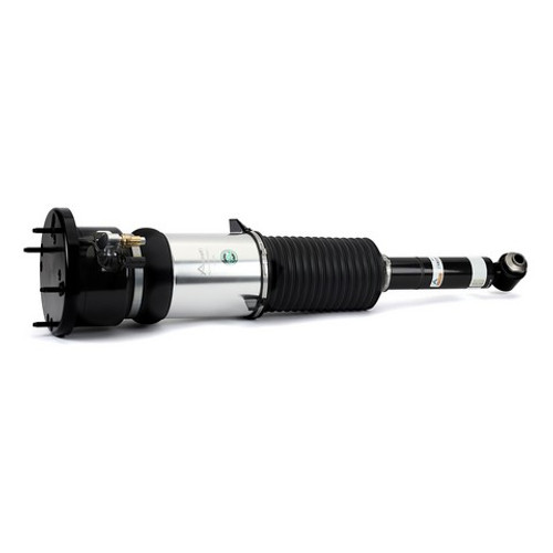 Arnott Industries Air Suspension Strut P/N:AS-3121