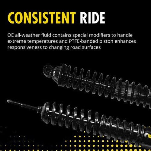 Monroe Shocks & Struts Suspension Shock Absorber and Coil Spring Assembly P/N:58411