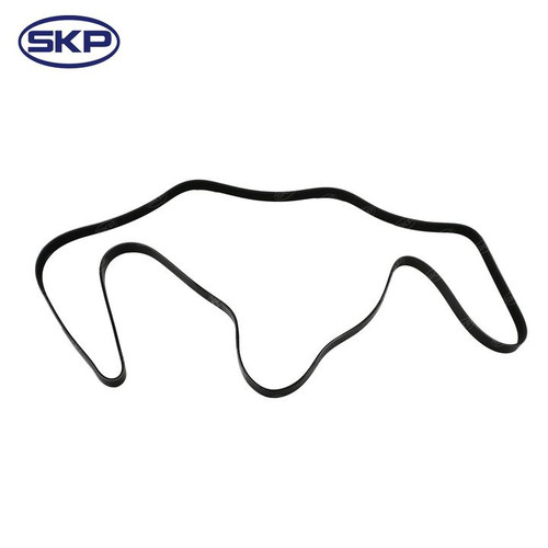 SKP Serpentine Belt SK061016