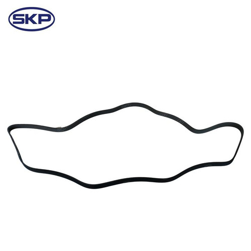 SKP Serpentine Belt P/N:SK060935HD