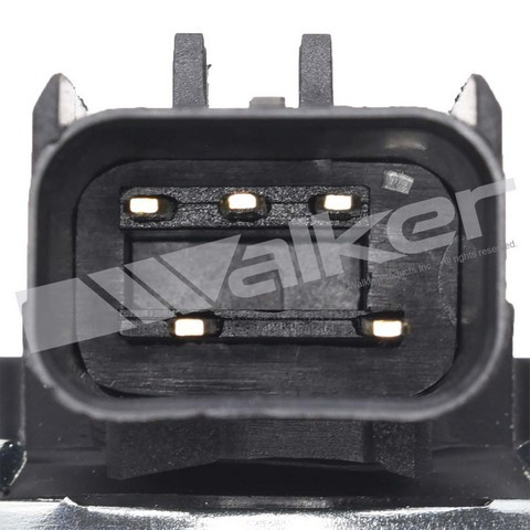 Walker Products Exhaust Gas Recirculation (EGR) Valve 570-5082 - view 4