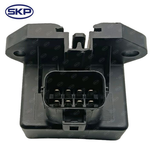 SKP Fuel Pump Driver Module P/N:SK601225