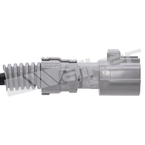Walker Products Oxygen Sensor 250241261 - view 4