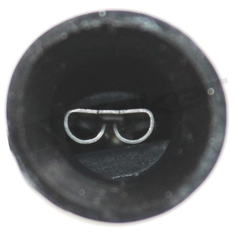 Walker Products Oxygen Sensor 350-31018 - view 3