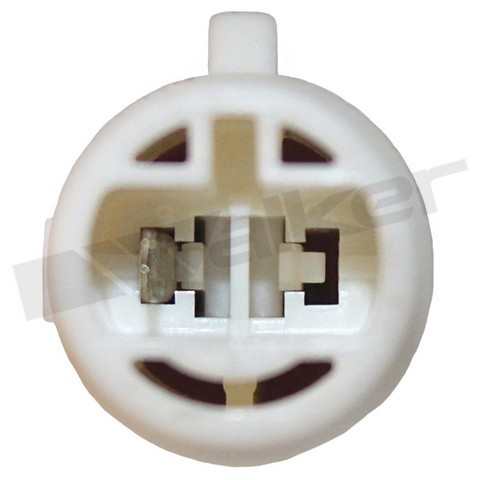Walker Products Oxygen Sensor 350-31036 - view 2