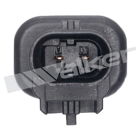 Walker Products Exhaust Gas Temperature (EGT) Sensor 273-10407 - view 8