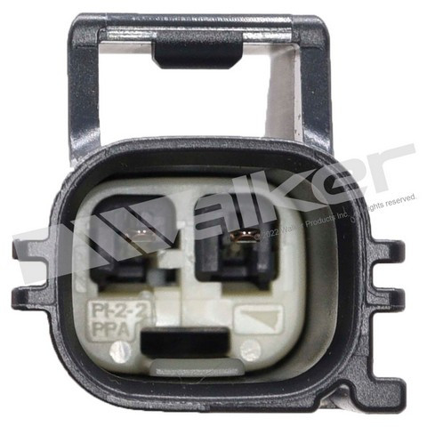 Walker Products Engine Coolant Temperature Sensor 211-2094 - view 2