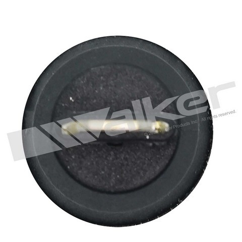 Walker Products Engine Oil Pressure Switch 256-1181 - view 3