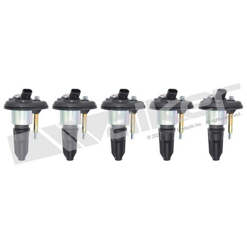 Walker Products Ignition Coil Set P/N:928-4054-5