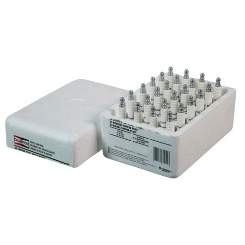 Champion Spark Plug  P/N:405S