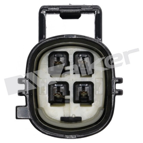 Walker Products Oxygen Sensor 250-241231 - view 3