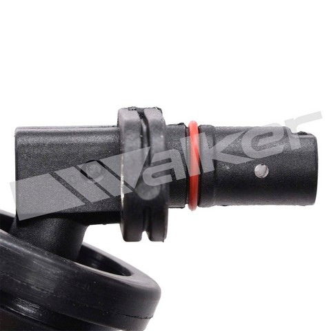 Walker Products ABS Wheel Speed Sensor 241-1049 - view 4