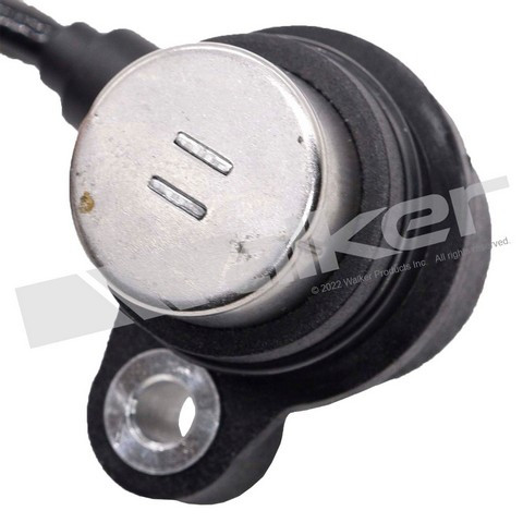 Walker Products ABS Wheel Speed Sensor 241-1192 - view 8