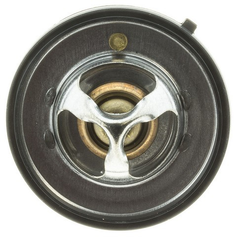 Motorad Engine Coolant Thermostat 420-180 - view 4