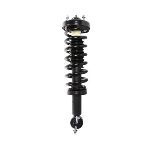 PRT Suspension Strut and Coil Spring Assembly P/N:710877