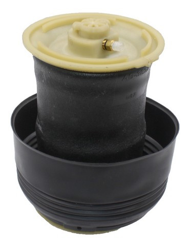 Westar Air Suspension Spring AS-7014 - view 2