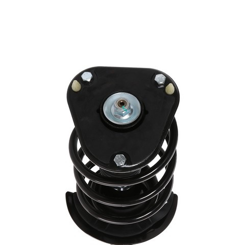 PRT Suspension Strut and Coil Spring Assembly P/N:818671