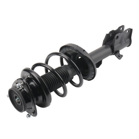 PRT Suspension Strut and Coil Spring Assembly P/N:920467