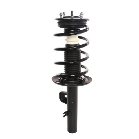PRT Suspension Strut and Coil Spring Assembly P/N:817129