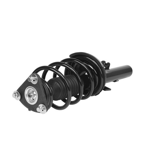 PRT Suspension Strut and Coil Spring Assembly P/N:810169