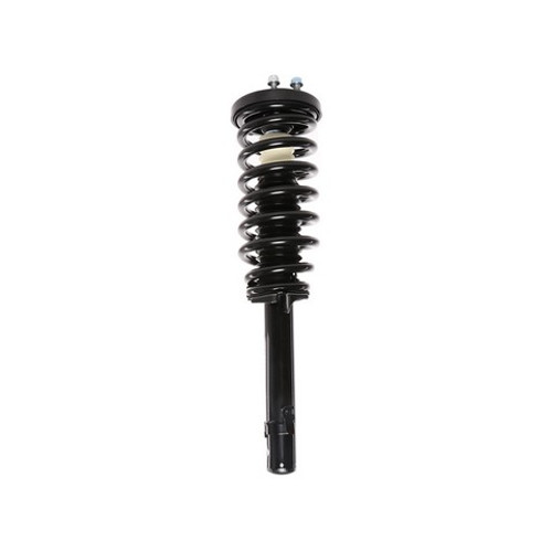 PRT Suspension Strut and Coil Spring Assembly P/N:816787