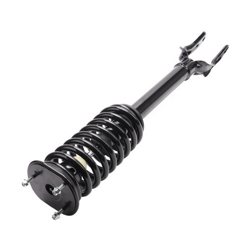PRT Suspension Strut and Coil Spring Assembly P/N:920101