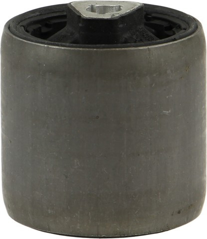 Rein Suspension Control Arm Bushing P/N:AVB0446