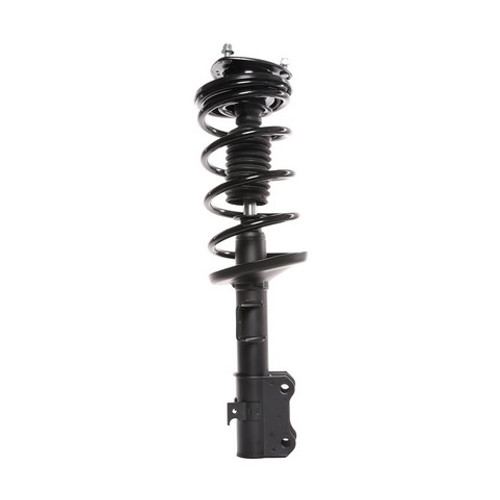 PRT Suspension Strut and Coil Spring Assembly P/N:814940