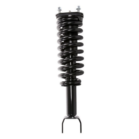 PRT Suspension Strut and Coil Spring Assembly P/N:813487