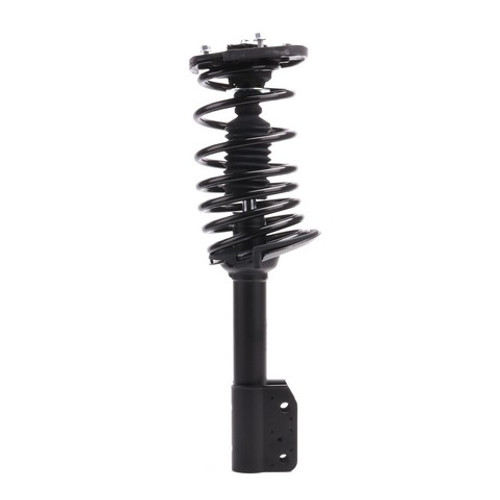 PRT Suspension Strut and Coil Spring Assembly P/N:810153