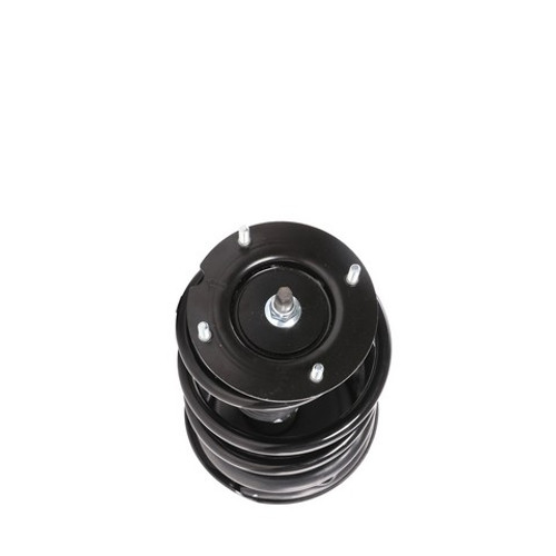 PRT Suspension Strut and Coil Spring Assembly P/N:818201