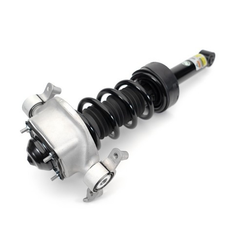 Arnott Industries Air Spring to Coil Spring Conversion Kit C-3552 - view 5