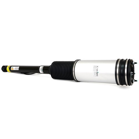 Arnott Industries Air Suspension Strut AS-2194