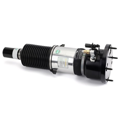 Arnott Industries Air Suspension Strut AS-3123 - view 2