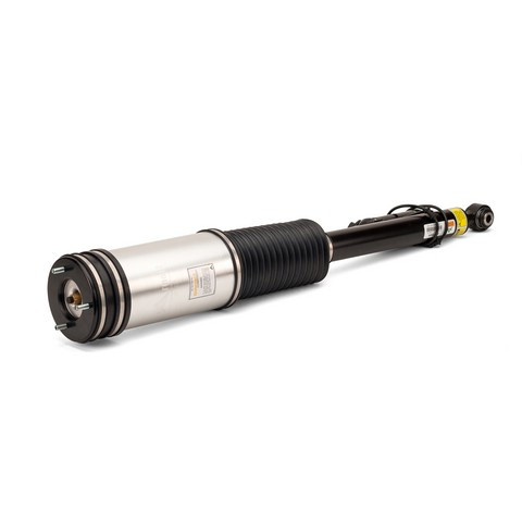Arnott Industries Air Suspension Strut AS-2884 - view 2
