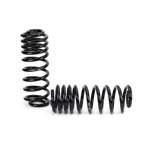 Arnott Industries Air Spring to Coil Spring Conversion Kit P/N:C-2607