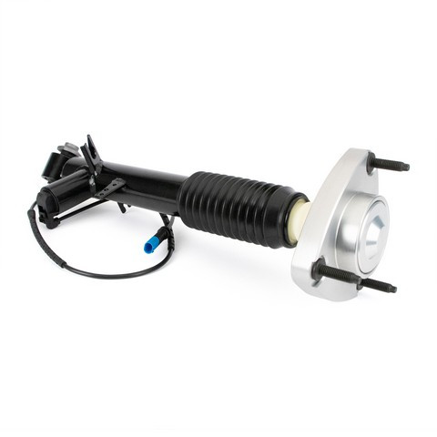 Arnott Industries Suspension Shock Absorber SK-3816 - view 8
