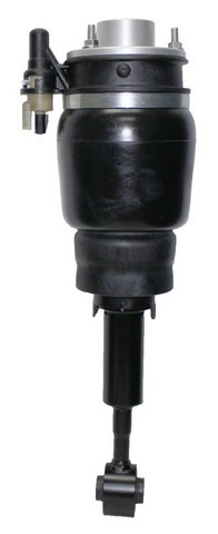 Westar Air Suspension Strut AS-7314 - view 2