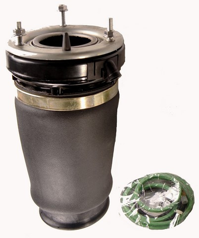 Westar Air Suspension Spring AS-7029 - view 2